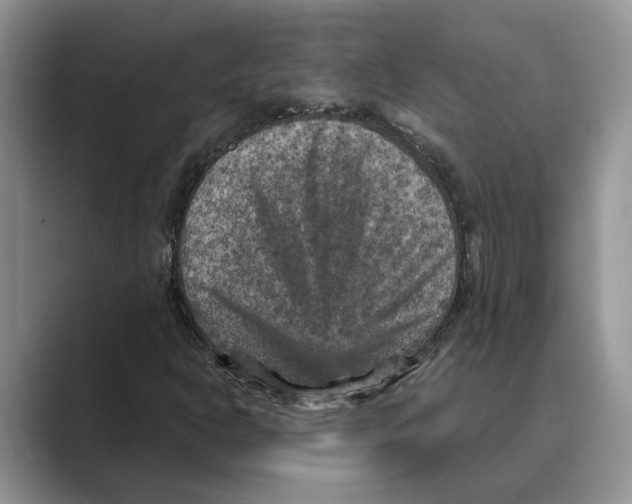 X0000088851302200707061025