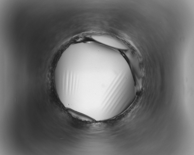 X0000088851304200707061025