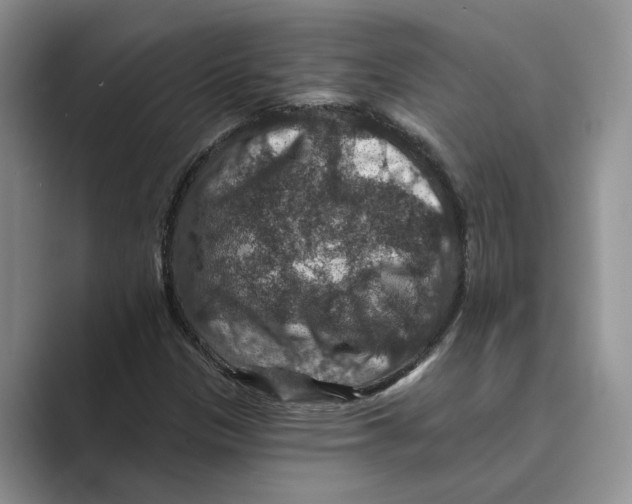 X0000088851305200707061025