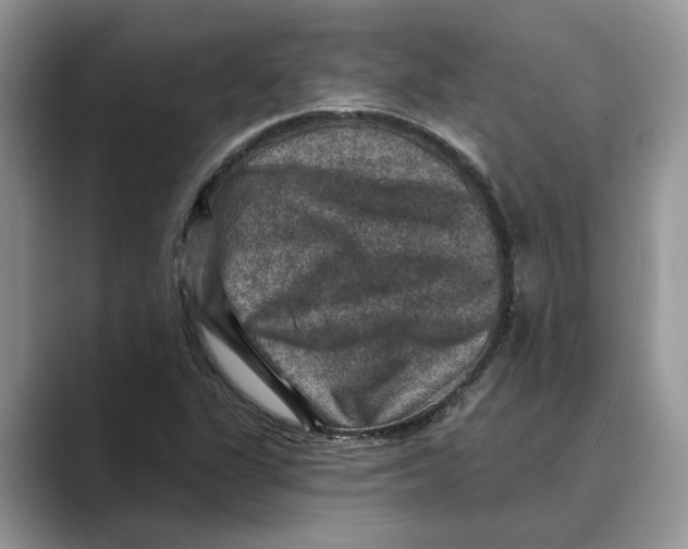 X0000088851311200707061025