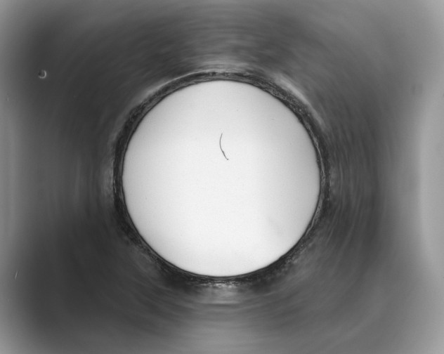 X0000088851315200707061025