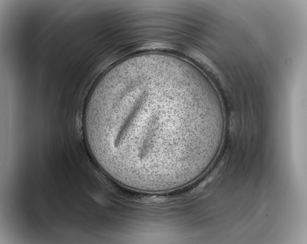 X0000088851321200707061026
