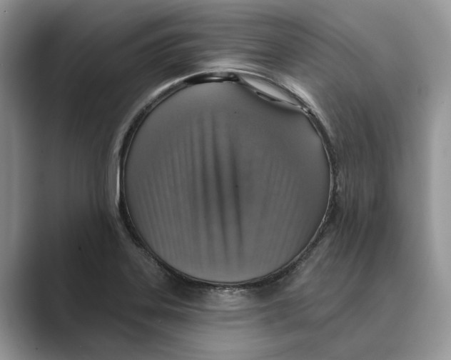 X0000088851323200707061026