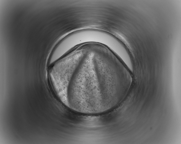 X0000088851324200707061026
