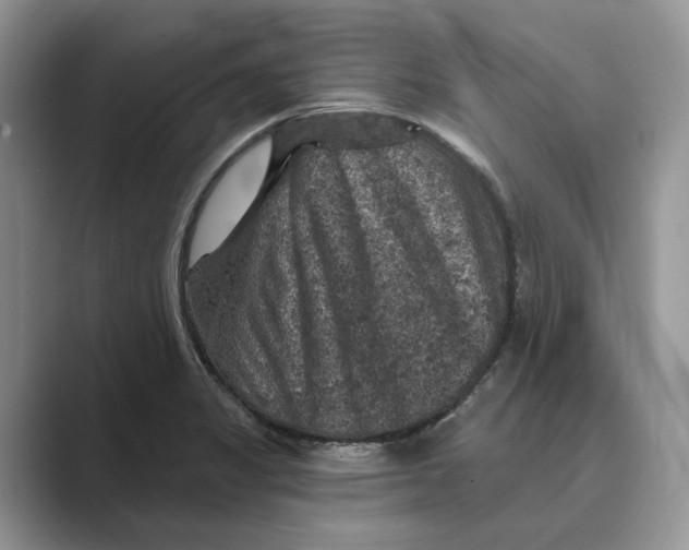 X0000088851325200707061026