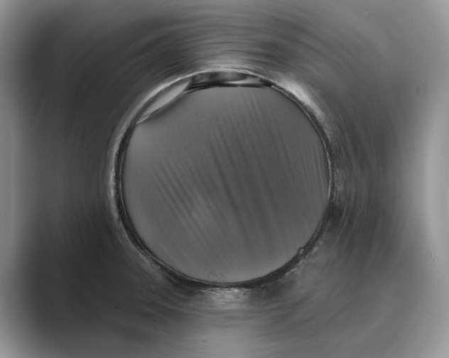 X0000088851331200707061026