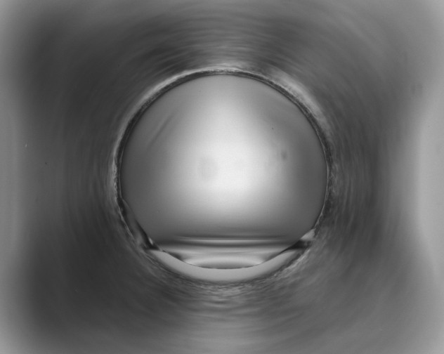 X0000088851332200707061026