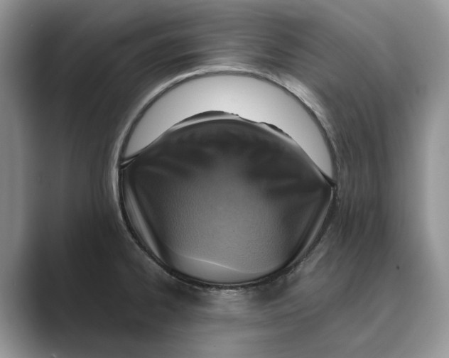 X0000088851334200707061026