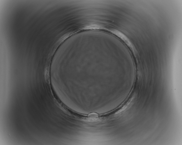 X0000088851337200707061026