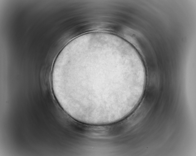 X0000088851338200707061026