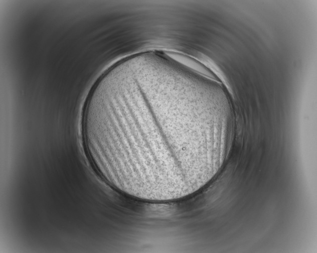 X0000088851339200707061026