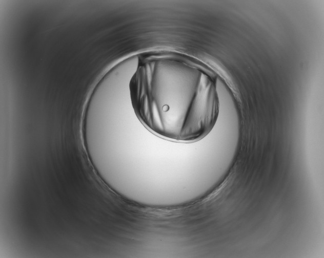 X0000088851340200707061026