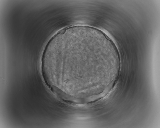 X0000088851341200707061026