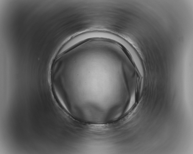 X0000088851342200707061026