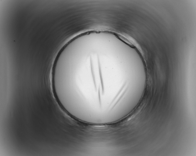 X0000088851343200707061026