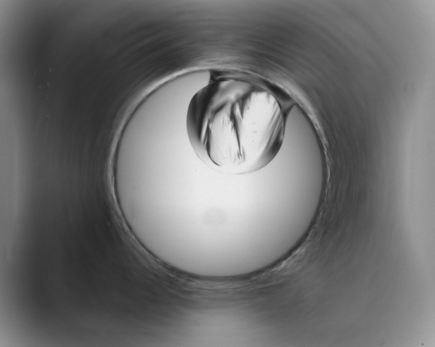 X0000088851344200707061026