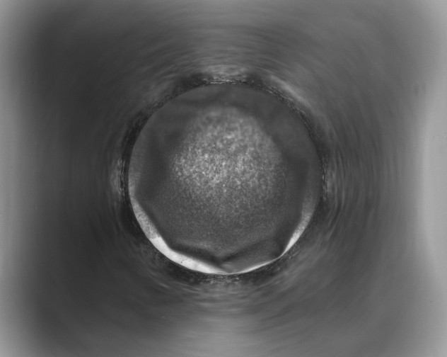 X0000088851346200707061025