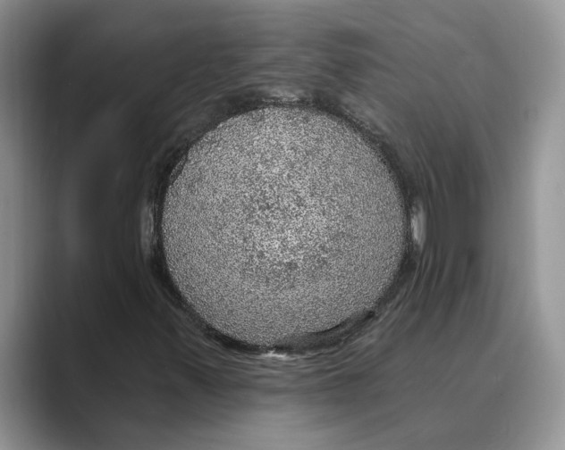 X0000088851347200707061025