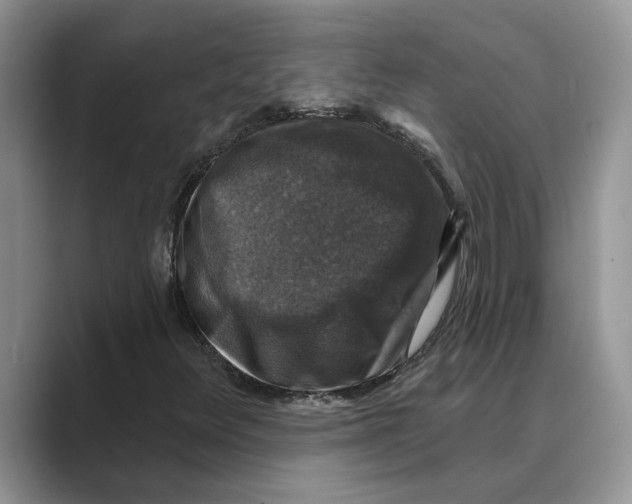 X0000088851348200707061025