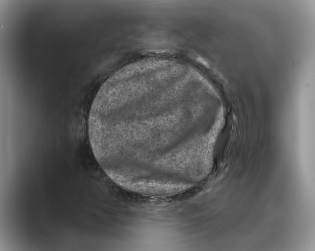 X0000088851350200707061025