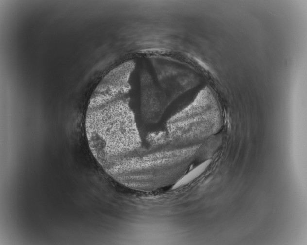 X0000088851351200707061025