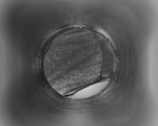 X0000088851352200707061025