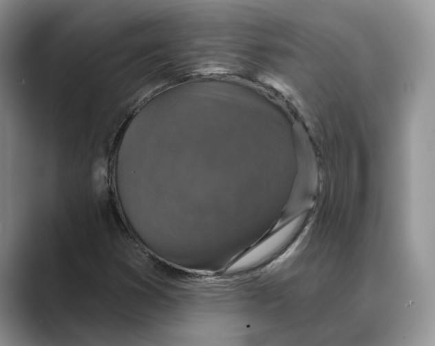 X0000088851353200707061025