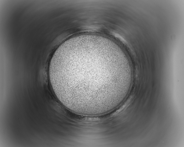 X0000088851354200707061025