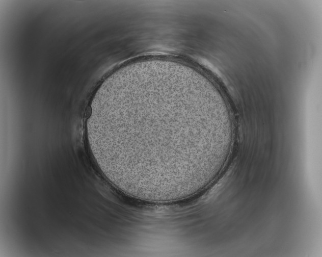 X0000088851355200707061025