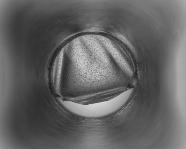 X0000088851356200707061025