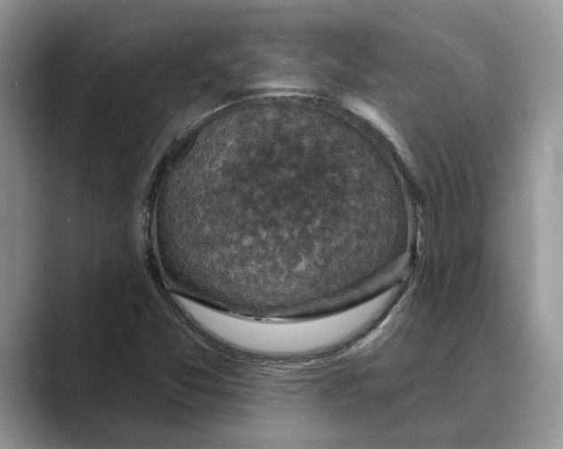 X0000088851357200707061025