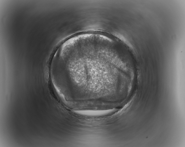 X0000088851358200707061025