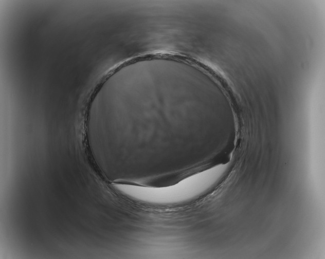 X0000088851359200707061025