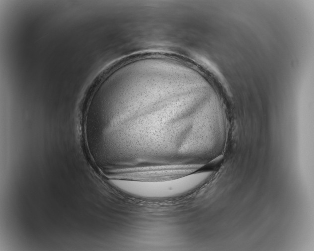 X0000088851360200707061025