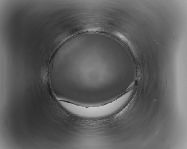 X0000088851361200707061025