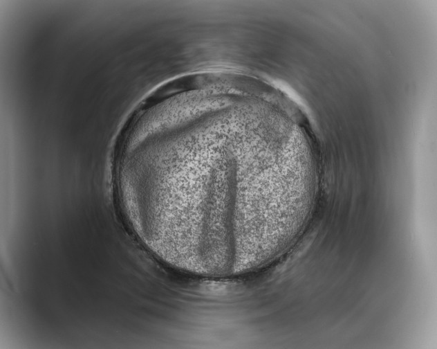 X0000088851364200707061025