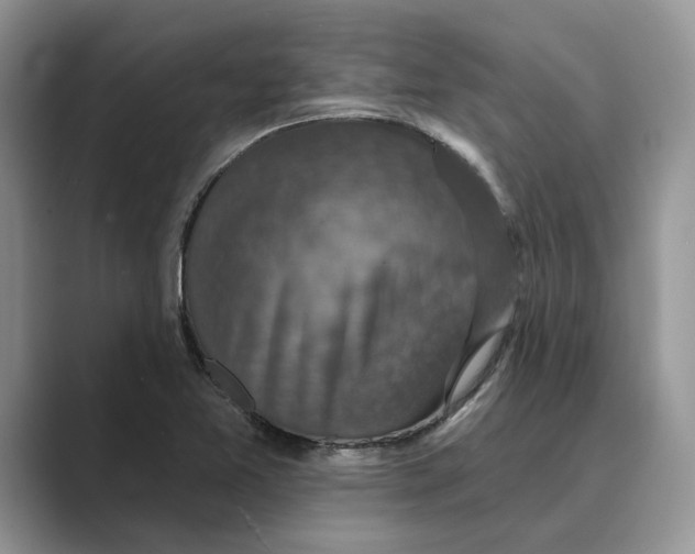 X0000088851365200707061025
