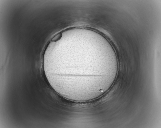X0000088851366200707061025