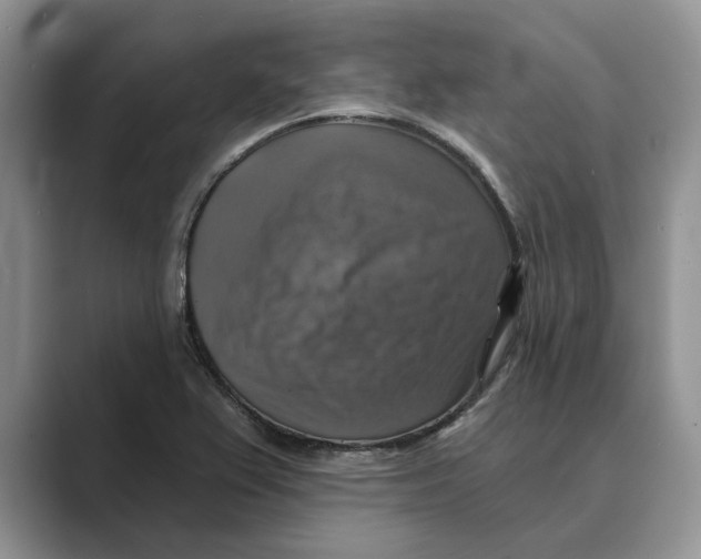 X0000088851367200707061025