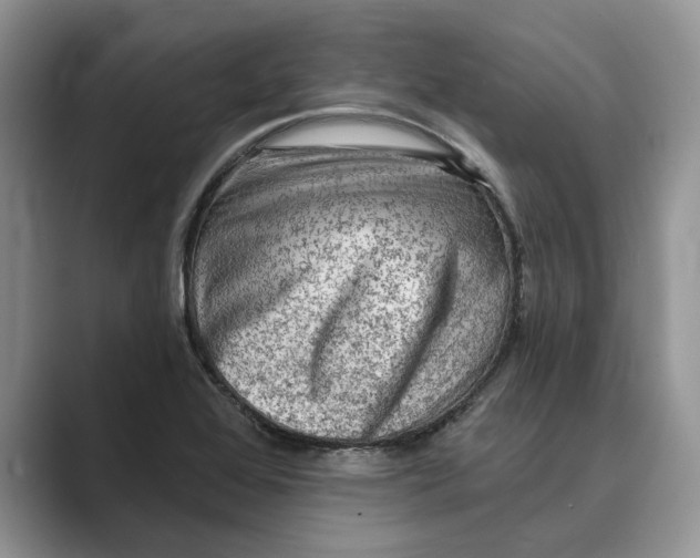 X0000088851368200707061025