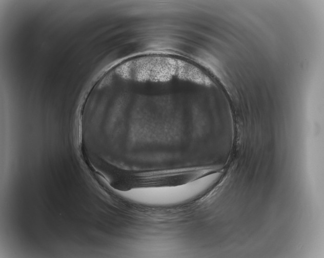 X0000088851371200707061025