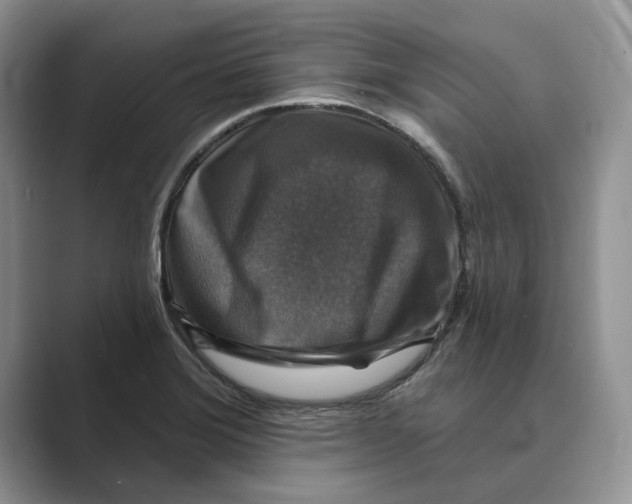 X0000088851372200707061025