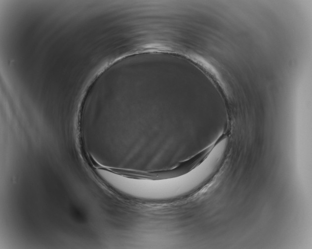 X0000088851373200707061025