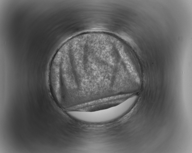 X0000088851374200707061025
