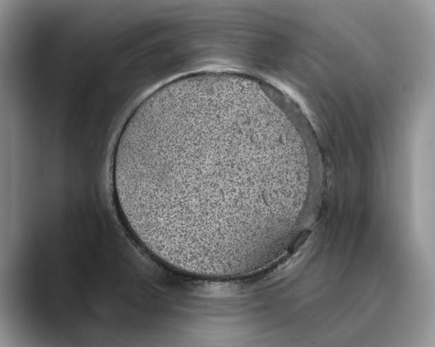 X0000088851375200707061025