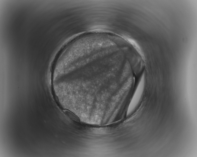 X0000088851376200707061025