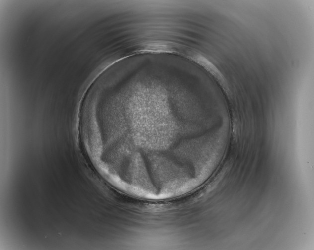 X0000088851378200707061025