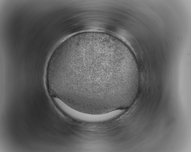 X0000088851379200707061025
