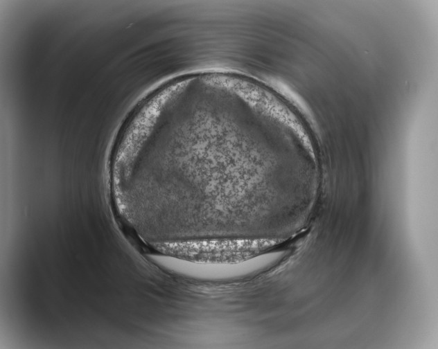 X0000088851380200707061025