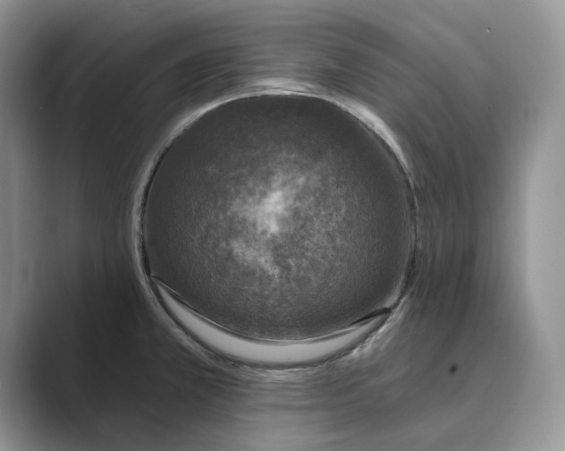 X0000088851381200707061025